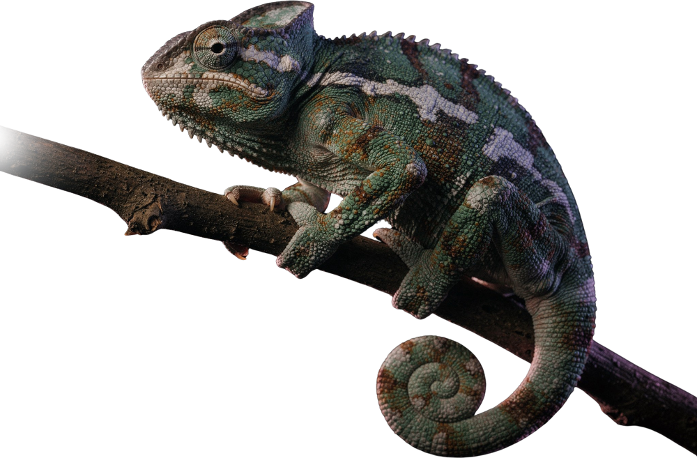 Analogový chameleon